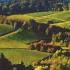 Weinbergswanderung am 19. Juli